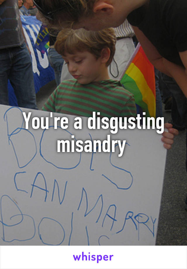 You're a disgusting misandry 