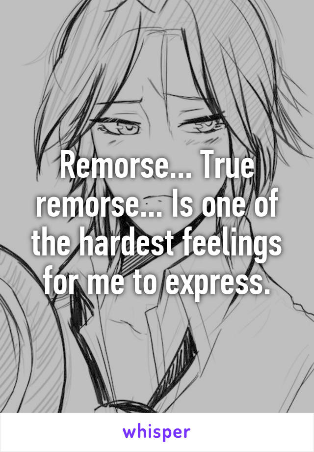 Remorse... True remorse... Is one of the hardest feelings for me to express.