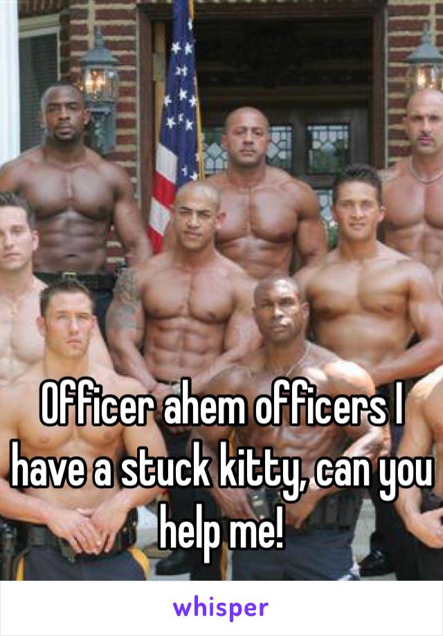 Officer ahem officers I have a stuck kitty, can you help me!