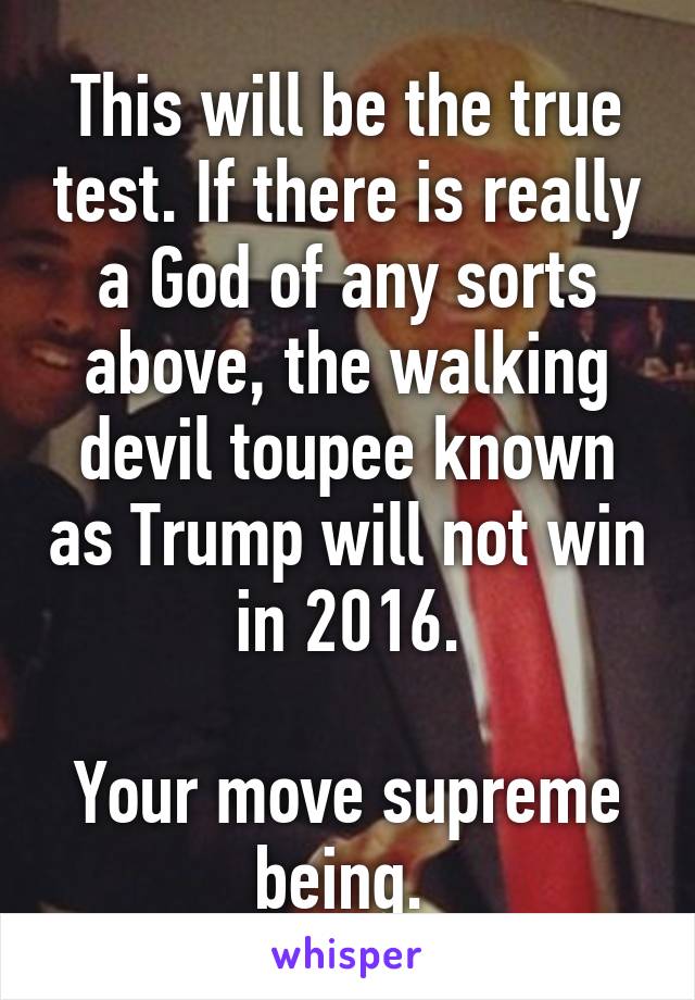 This will be the true test. If there is really a God of any sorts above, the walking devil toupee known as Trump will not win in 2016.

Your move supreme being. 