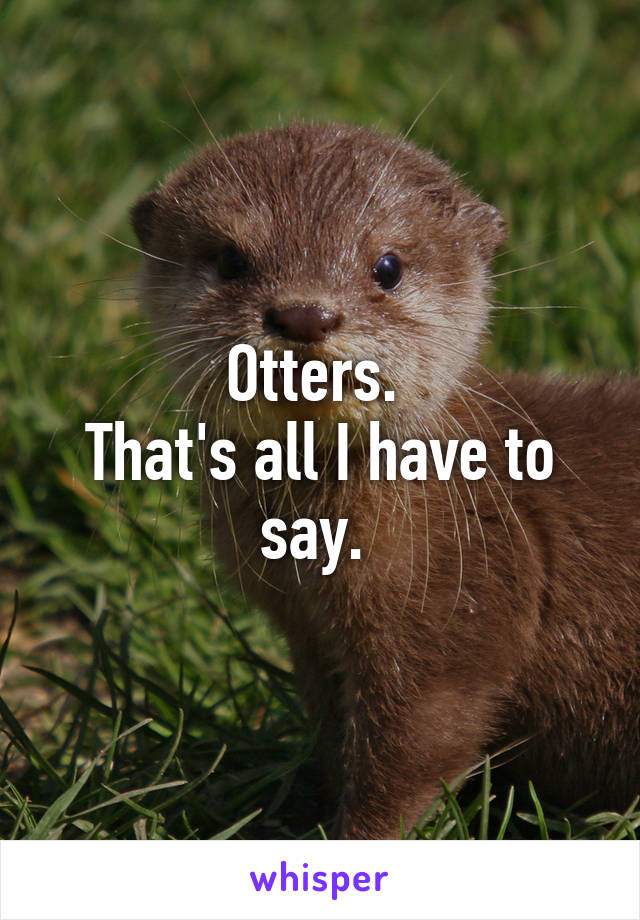 Otters. 
That's all I have to say. 