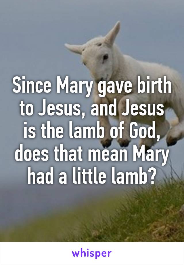 Since Mary gave birth to Jesus, and Jesus is the lamb of God, does that mean Mary had a little lamb?