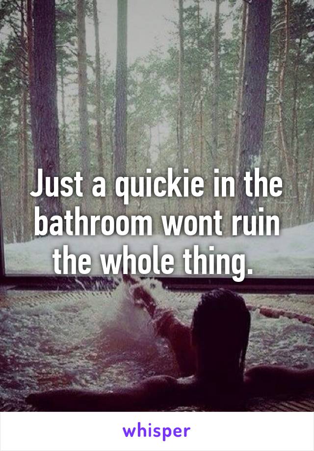 Just a quickie in the bathroom wont ruin the whole thing. 