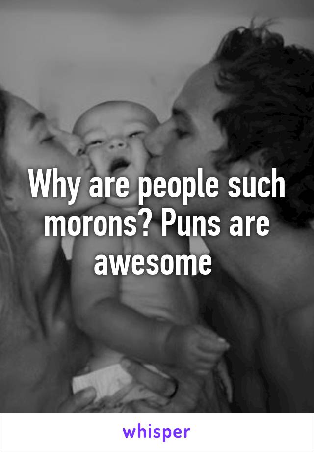 Why are people such morons? Puns are awesome 