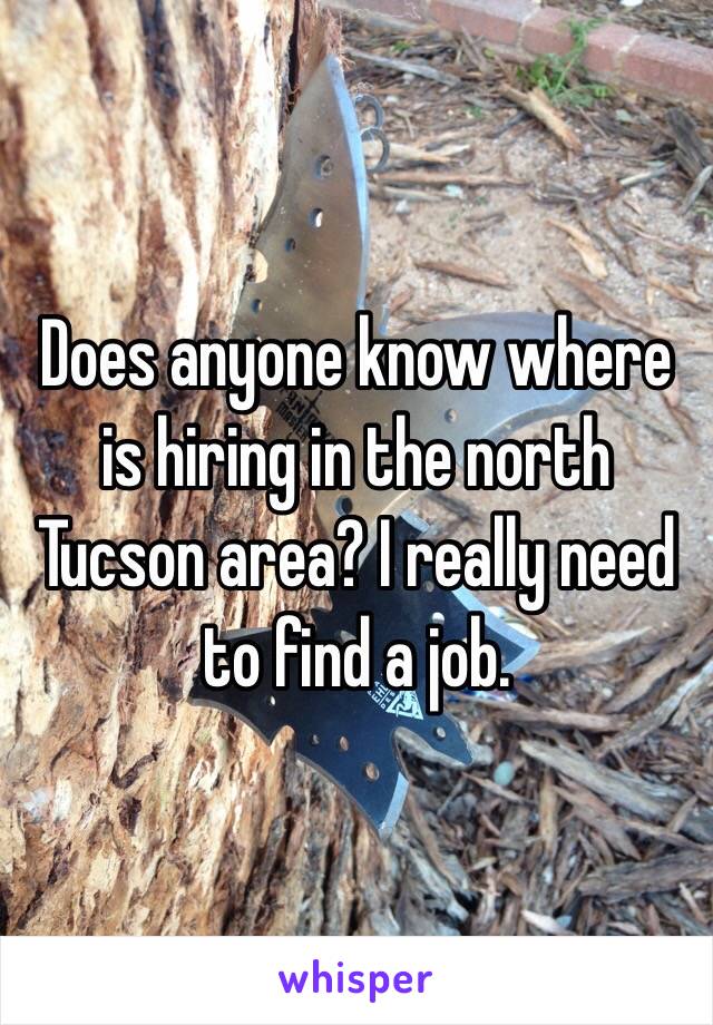 Does anyone know where is hiring in the north Tucson area? I really need to find a job.