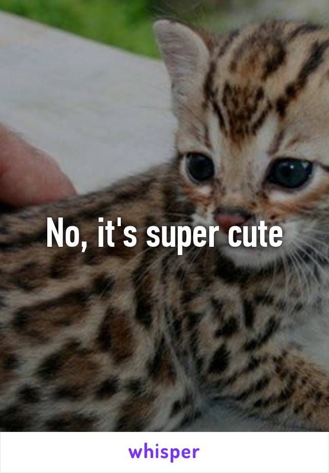 No, it's super cute