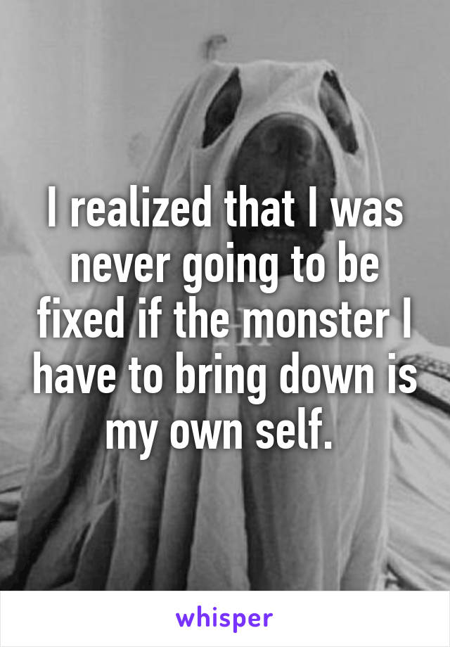 I realized that I was never going to be fixed if the monster I have to bring down is my own self. 