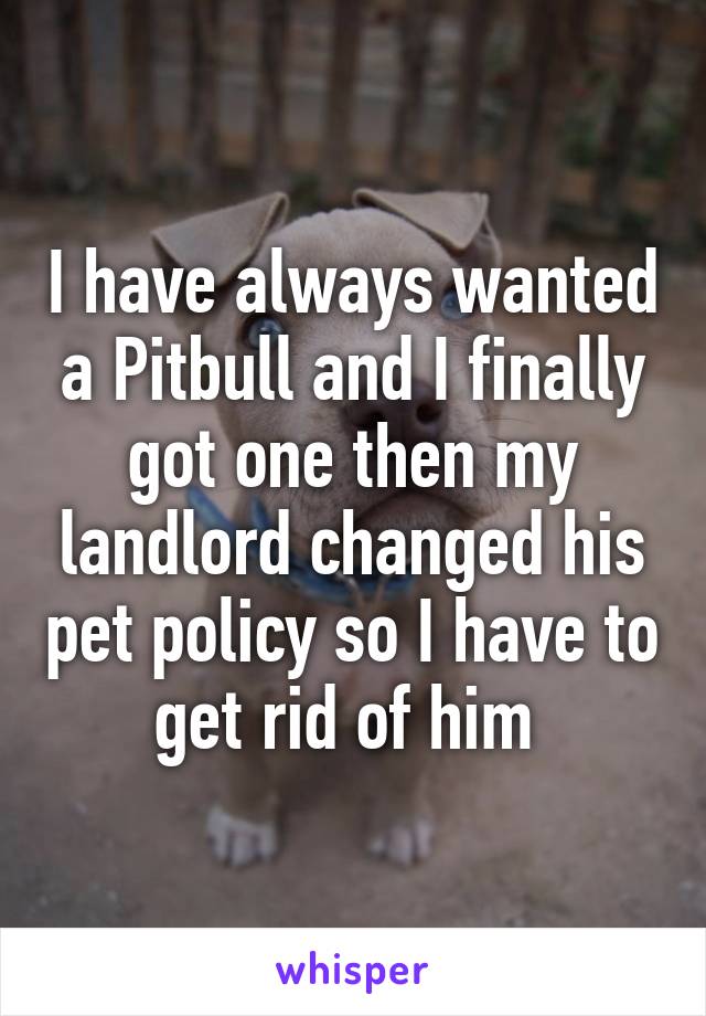 I have always wanted a Pitbull and I finally got one then my landlord changed his pet policy so I have to get rid of him 