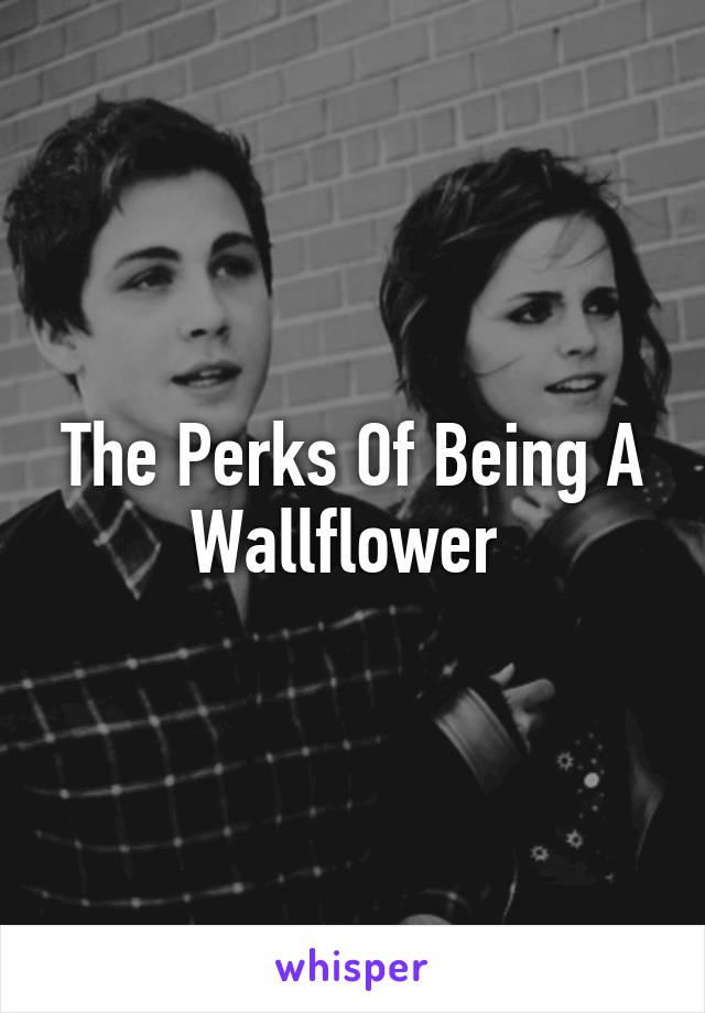 The Perks Of Being A Wallflower 