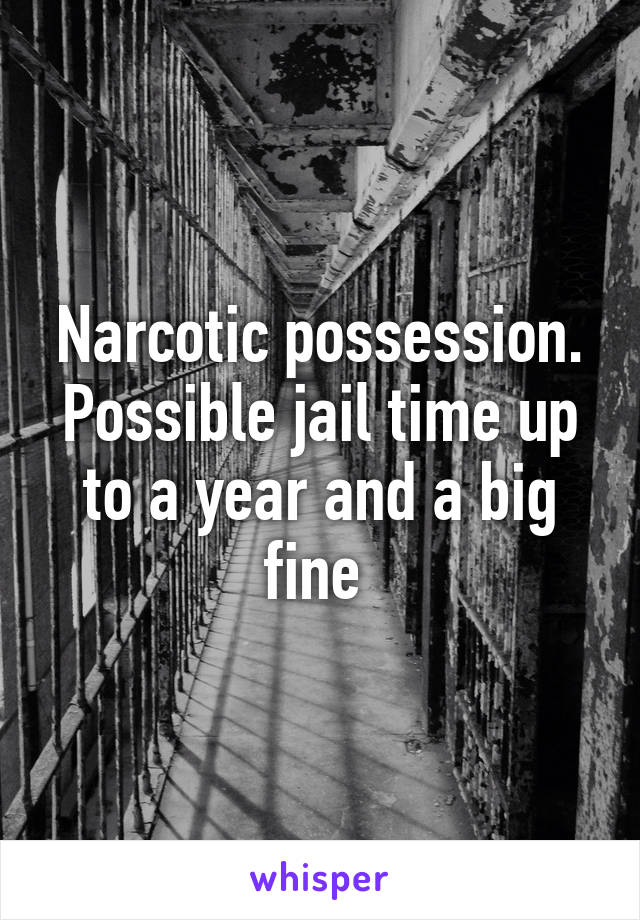 Narcotic possession. Possible jail time up to a year and a big fine 