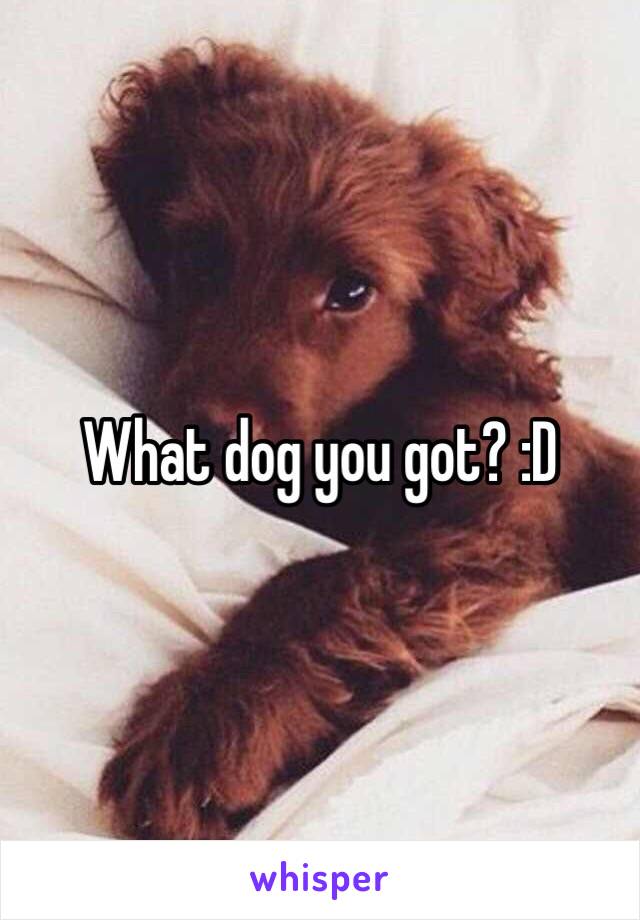 What dog you got? :D