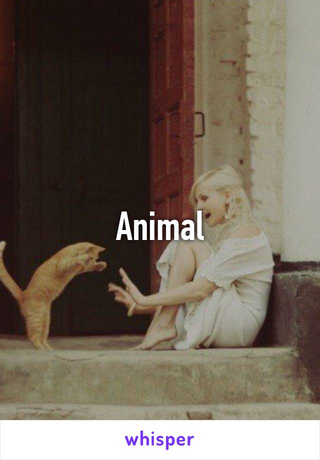 Animal