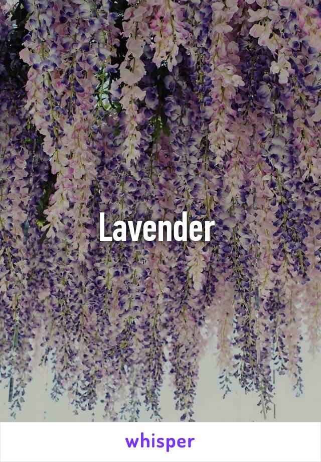 Lavender 