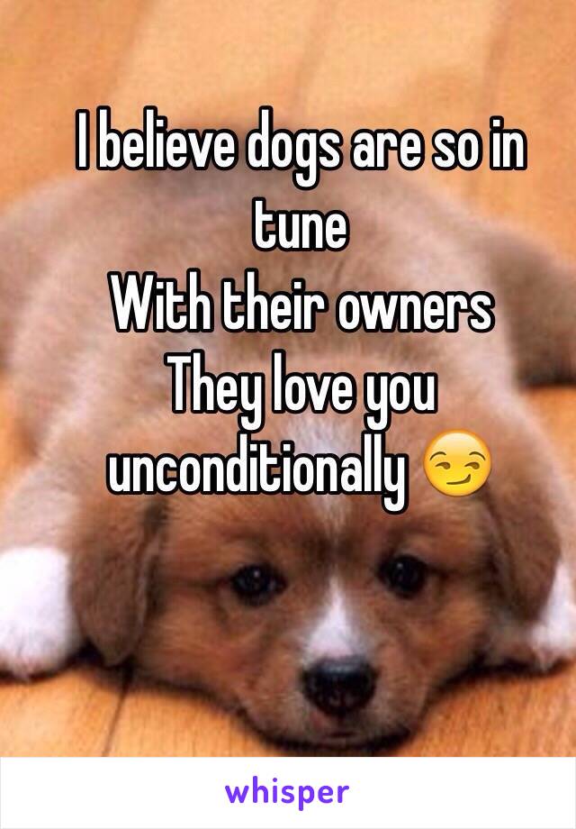I believe dogs are so in tune
With their owners
They love you unconditionally 😏