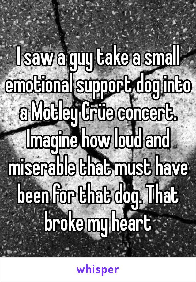 I saw a guy take a small emotional support dog into a Motley Crüe concert. Imagine how loud and miserable that must have been for that dog. That broke my heart 