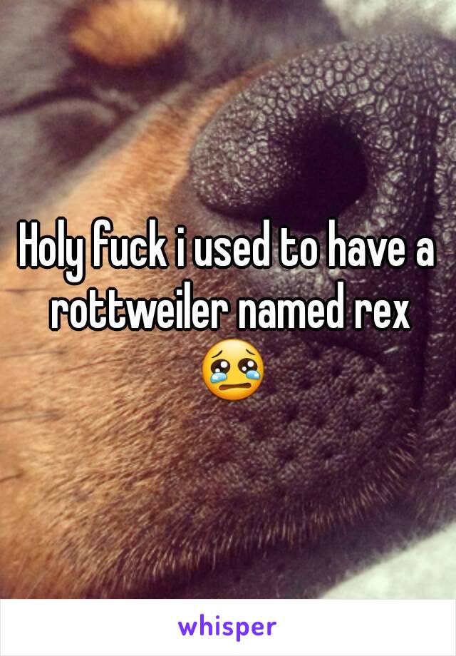 Holy fuck i used to have a rottweiler named rex 😢