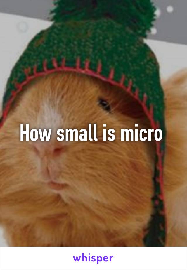 How small is micro 