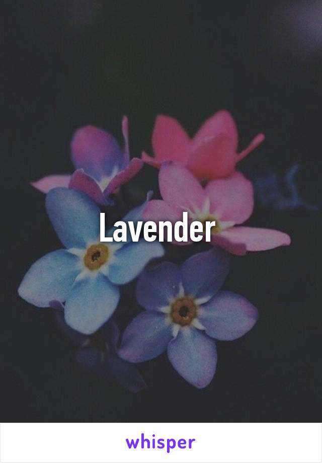 Lavender 