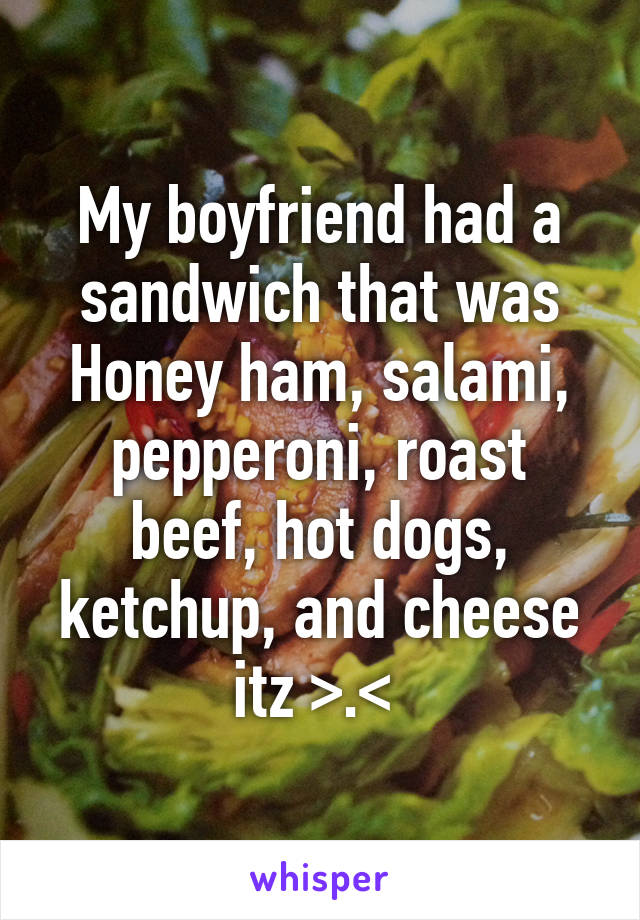 My boyfriend had a sandwich that was
Honey ham, salami, pepperoni, roast beef, hot dogs, ketchup, and cheese itz >.< 