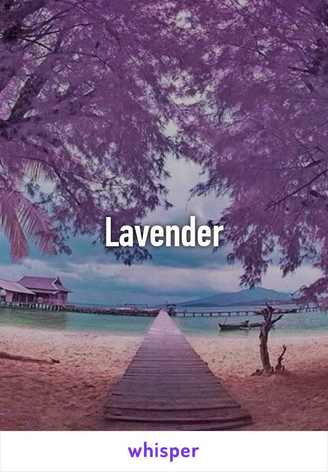 Lavender