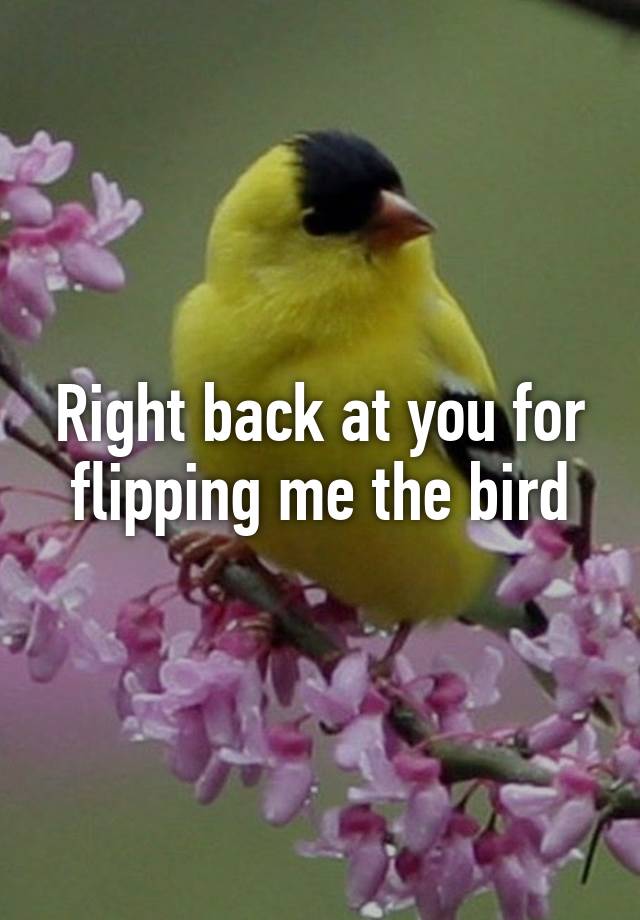 right-back-at-you-for-flipping-me-the-bird