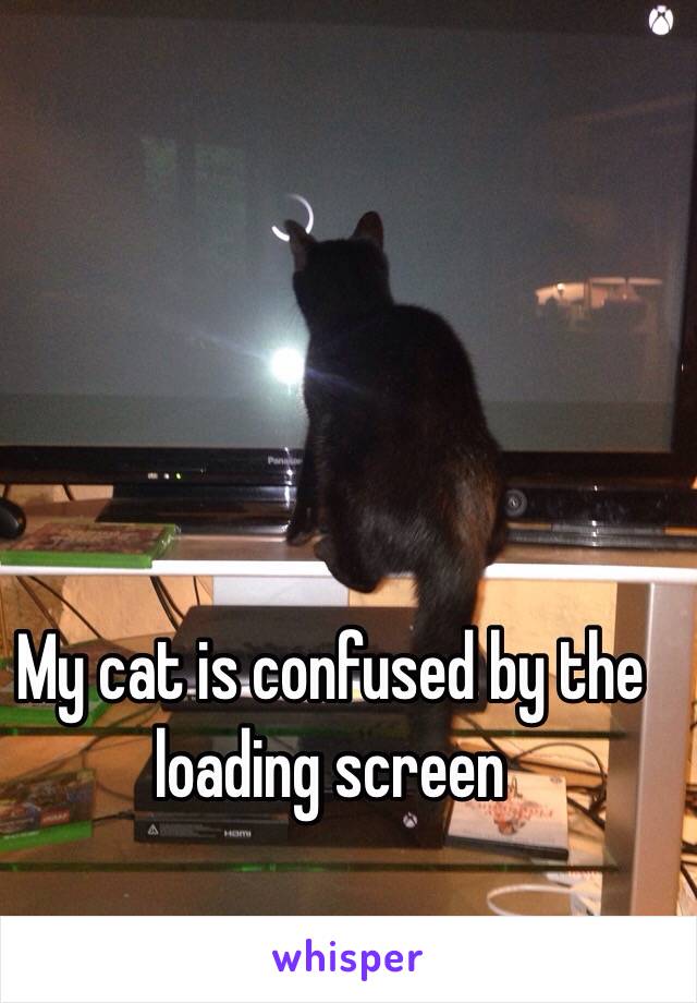 My cat is confused by the loading screen