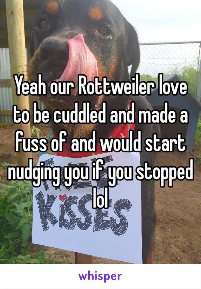 Yeah our Rottweiler love to be cuddled and made a fuss of and would start nudging you if you stopped lol 