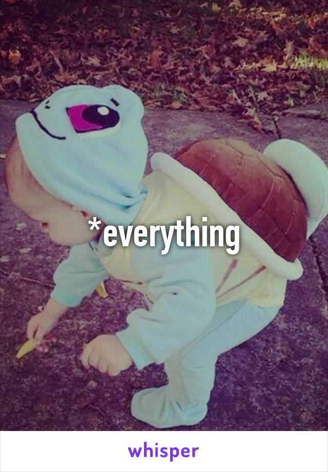 *everything