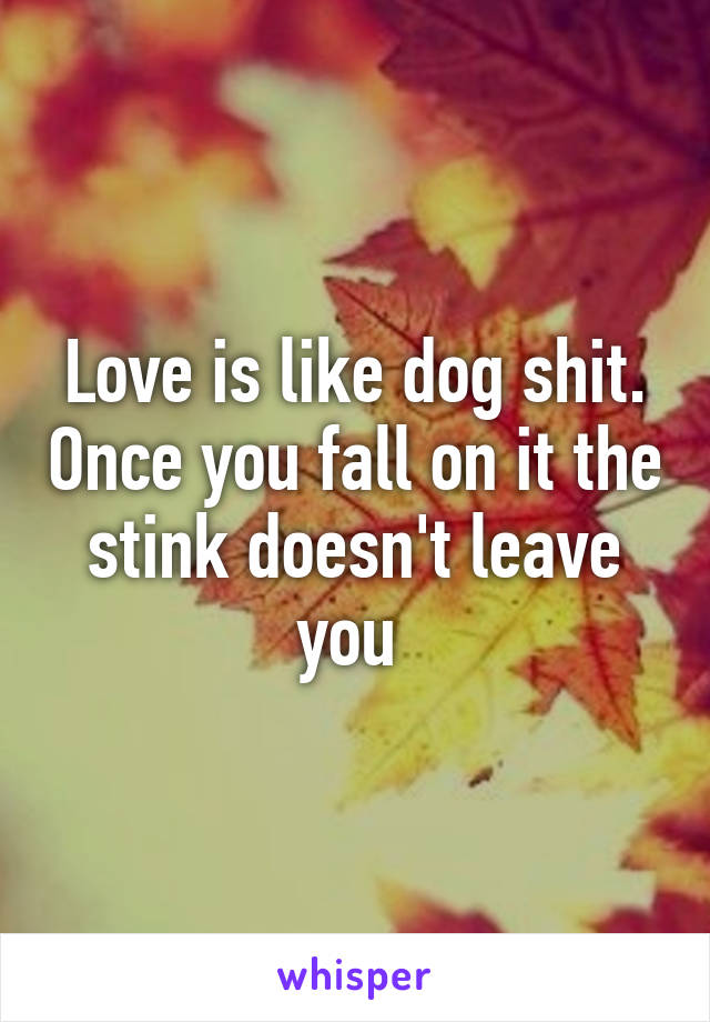 Love is like dog shit. Once you fall on it the stink doesn't leave you 