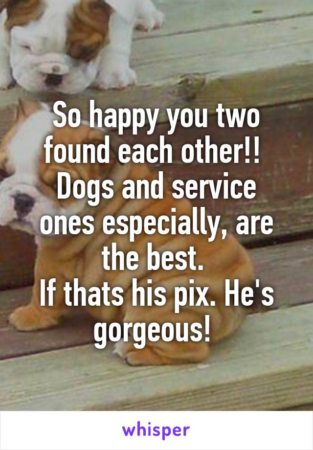 So happy you two found each other!! 
Dogs and service ones especially, are the best. 
If thats his pix. He's gorgeous! 