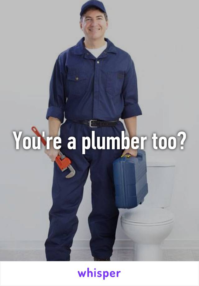 You're a plumber too?