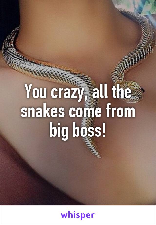 You crazy, all the snakes come from big boss!
