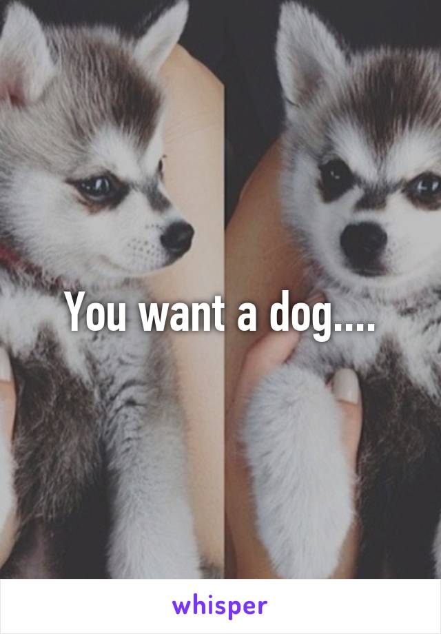 You want a dog....