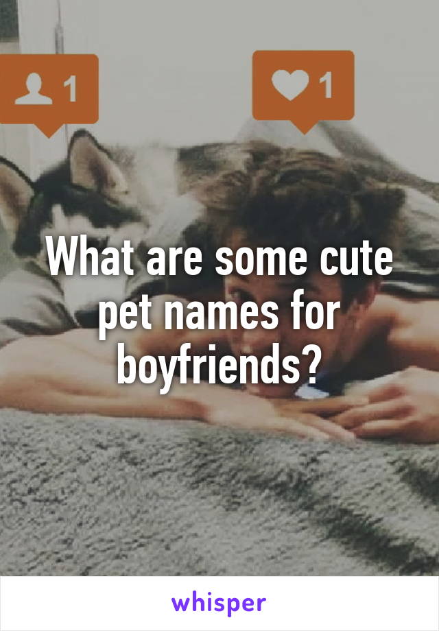 What are some cute pet names for boyfriends?