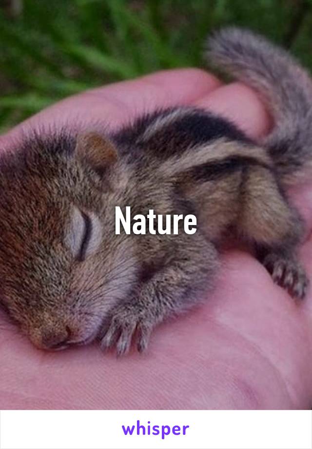 Nature