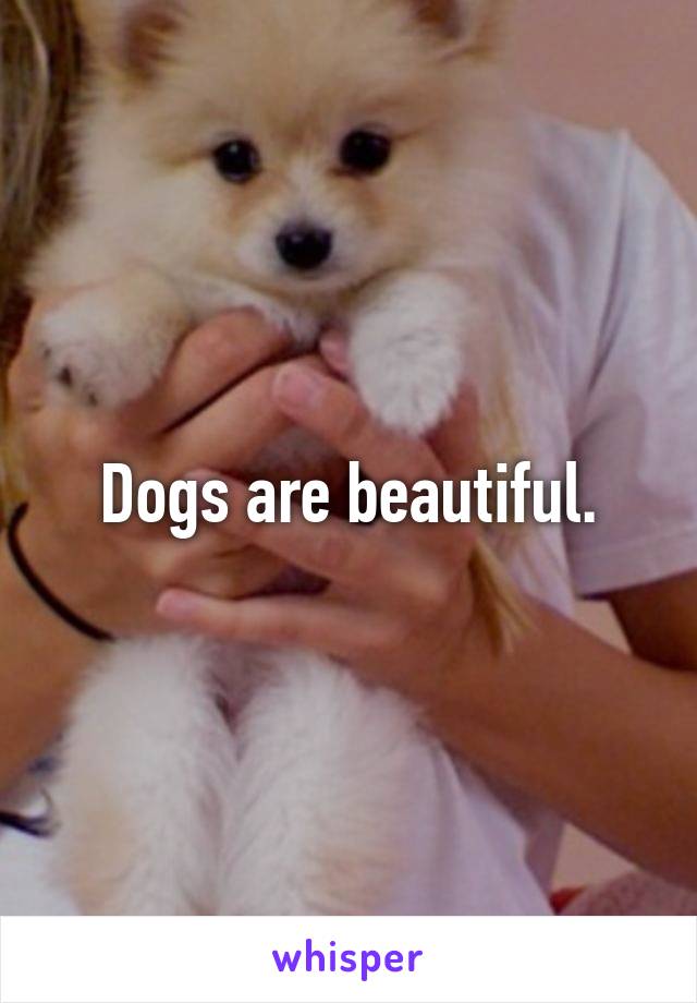 Dogs are beautiful.