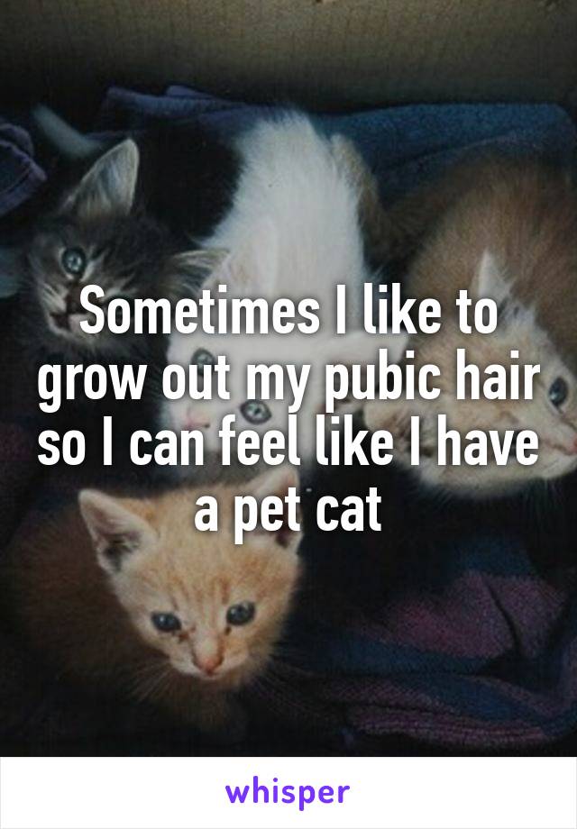 Sometimes I like to grow out my pubic hair so I can feel like I have a pet cat