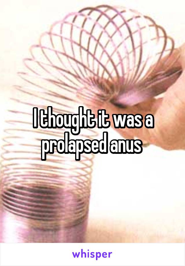 I thought it was a prolapsed anus 