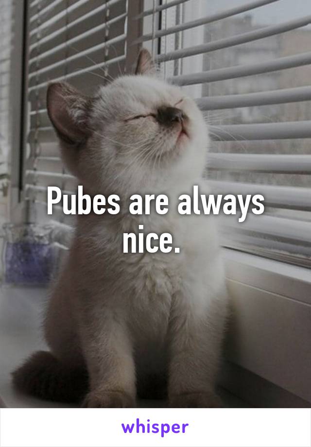 Pubes are always nice. 
