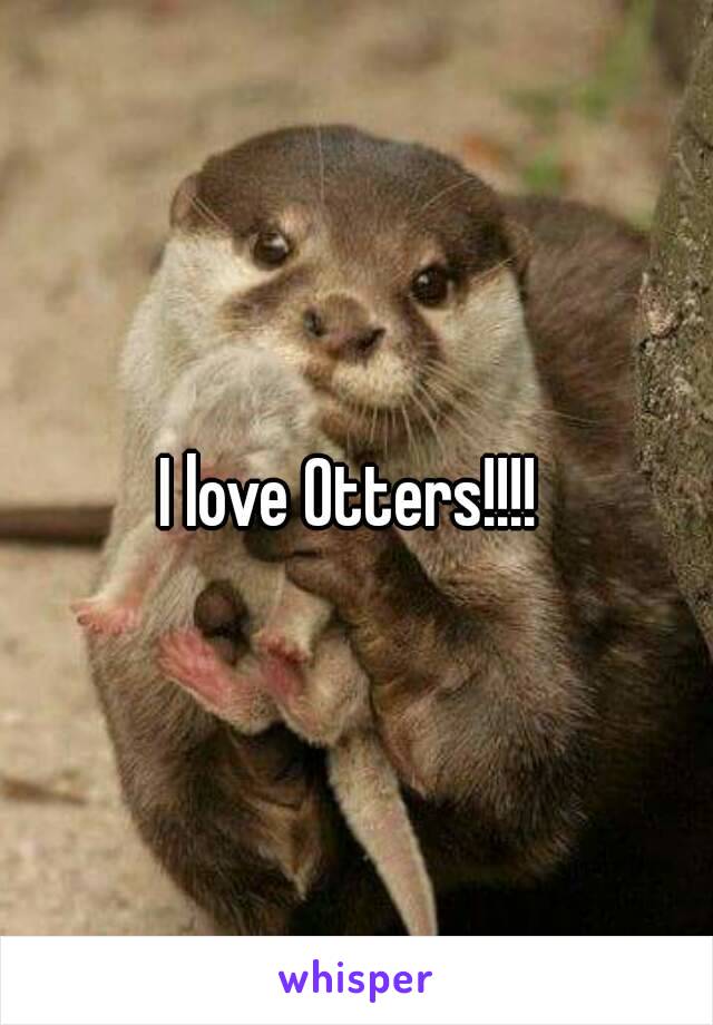 I love Otters!!!! 