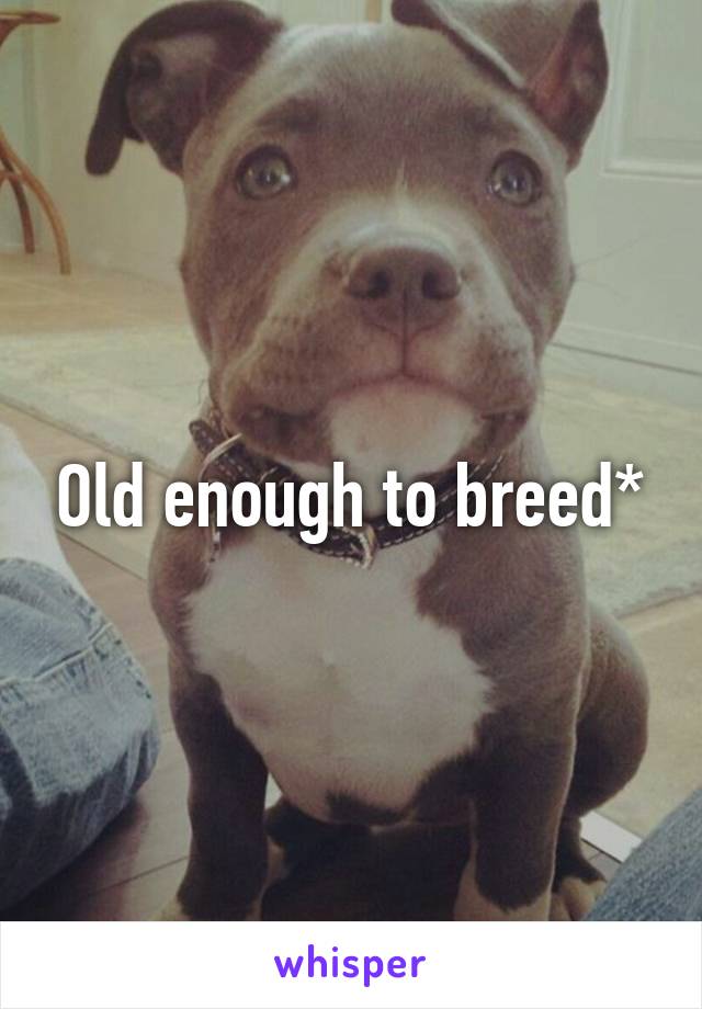 Old enough to breed*