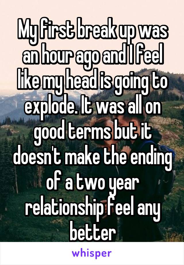 My first break up was an hour ago and I feel like my head is going to explode. It was all on good terms but it doesn't make the ending of a two year relationship feel any better