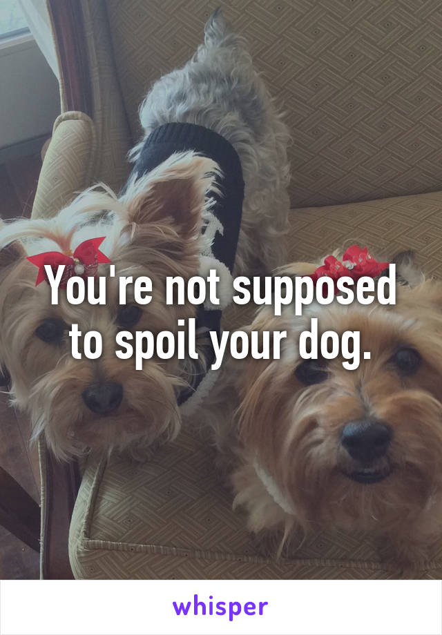 You're not supposed to spoil your dog.