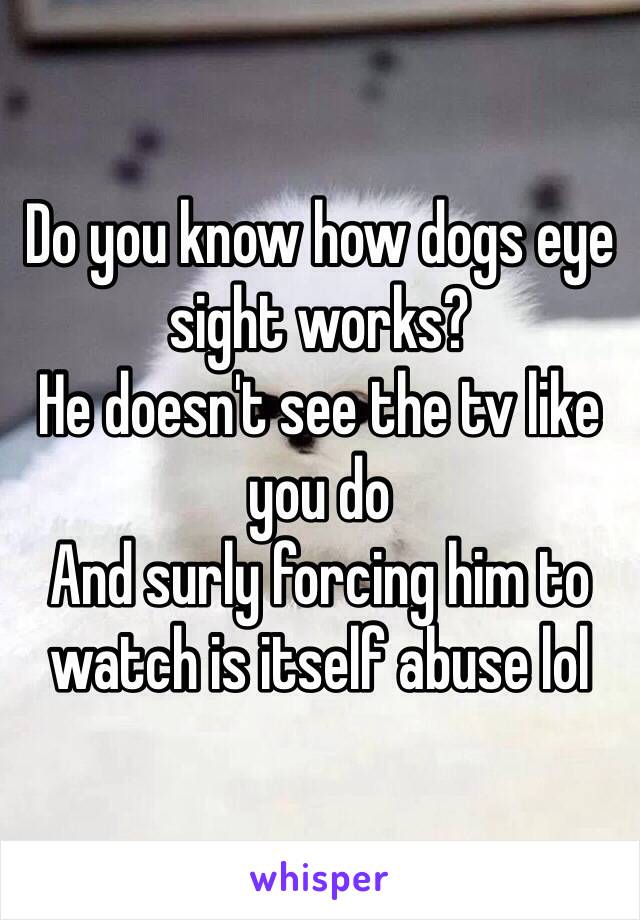 Do you know how dogs eye sight works? 
He doesn't see the tv like you do 
And surly forcing him to watch is itself abuse lol