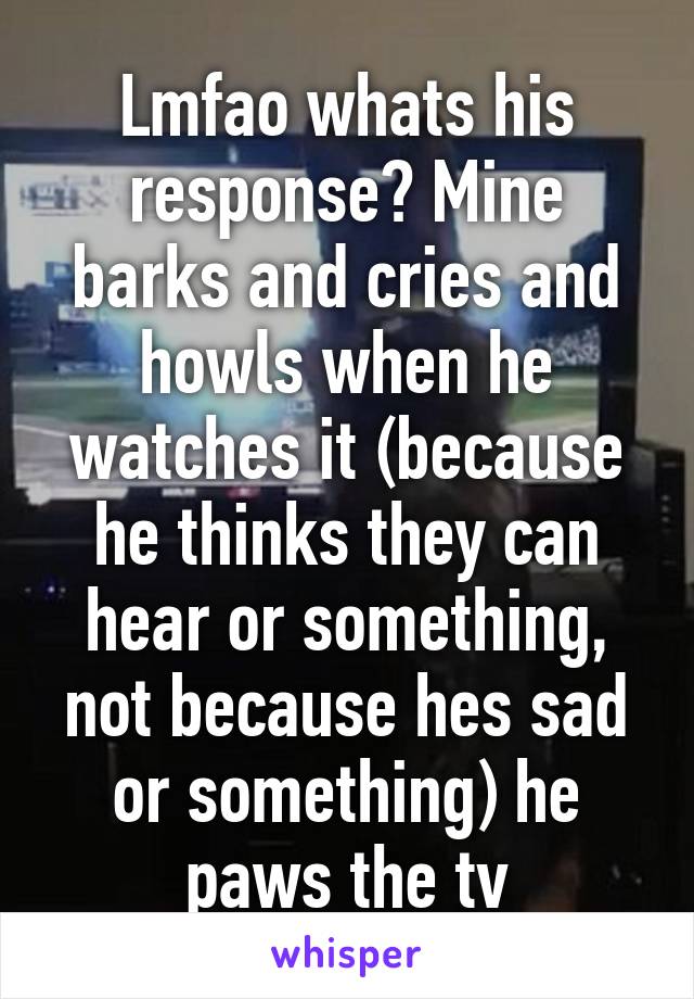 Lmfao whats his response? Mine barks and cries and howls when he watches it (because he thinks they can hear or something, not because hes sad or something) he paws the tv