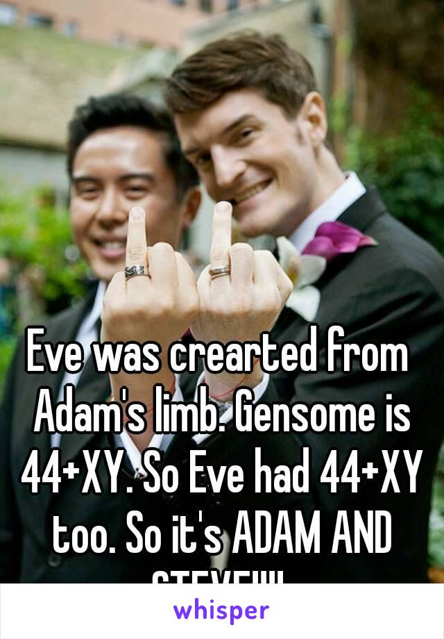 Eve was crearted from Adam's limb. Gensome is 44+XY. So Eve had 44+XY too. So it's ADAM AND STEVE!!!! 