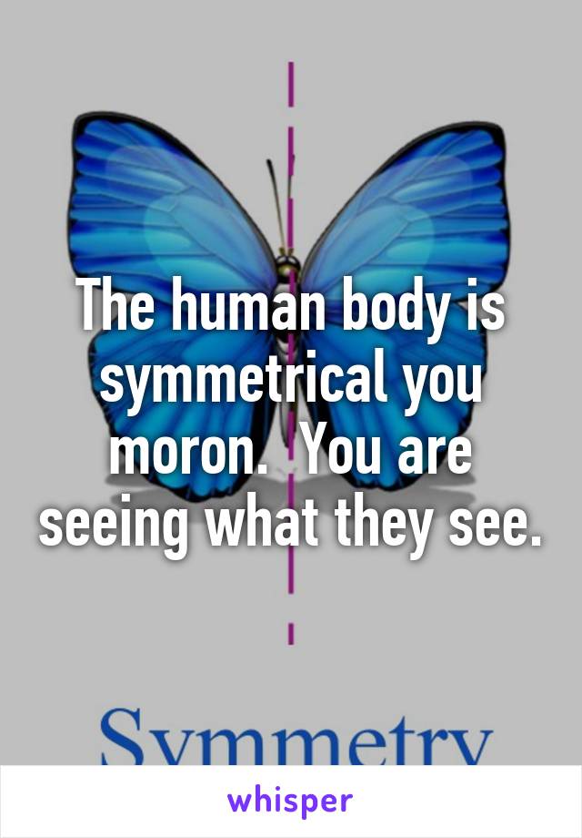 The human body is symmetrical you moron.  You are seeing what they see.