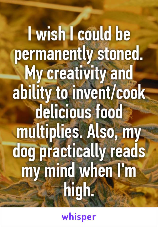 I wish I could be permanently stoned. My creativity and ability to invent/cook delicious food multiplies. Also, my dog practically reads my mind when I'm high.