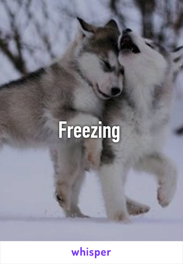 Freezing 