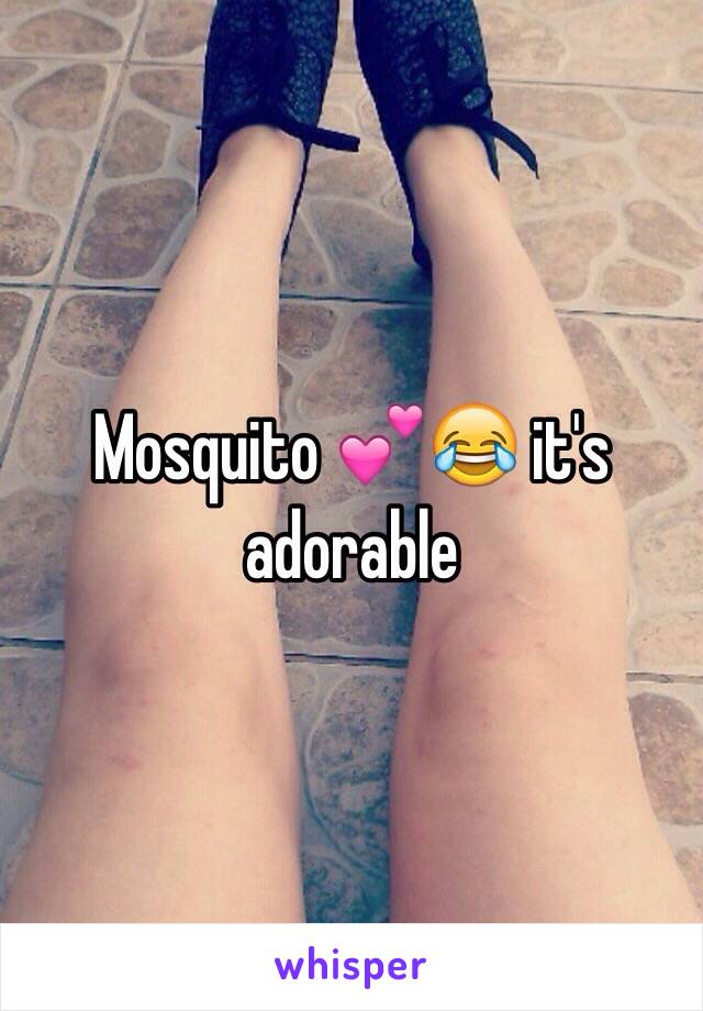 Mosquito 💕😂 it's adorable 